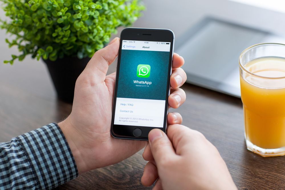 Whatsapp empresarial: vale a pena investir?